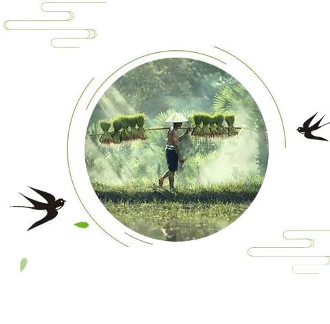 安康苗苗幼儿园清明节放假通知