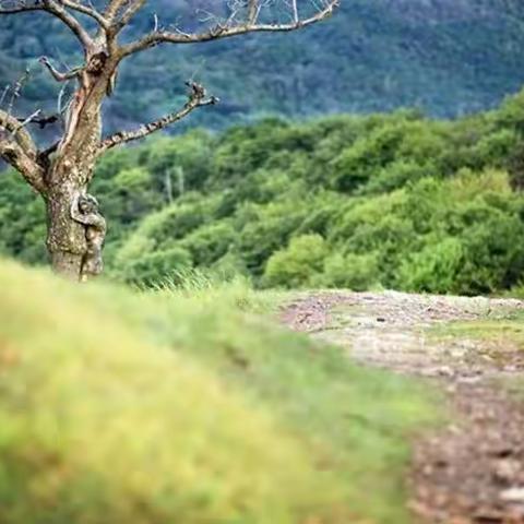 隐形艺术摄影（每张作品里都有模特）考考你眼力了！