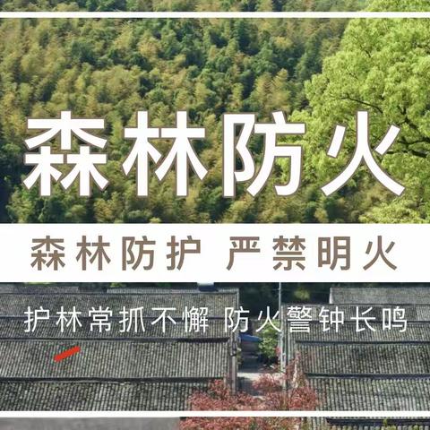 “平安清明·防火先行”倡议书