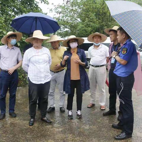 美兰区陈新带队督导违建项目拆除工作