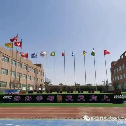 动物运动会，游考乐翻天——杏园逸夫小学低年级无纸笔乐考闯关活动纪实