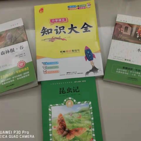 阅读是我们进步的阶梯