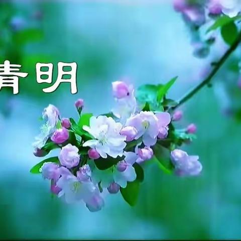 【“三抓三促”进行时】清明时节话清明——白家湾九年制学校二年级