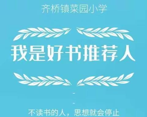 冬日暖阳，书香拂面——齐桥镇菜园小学读书分享活动