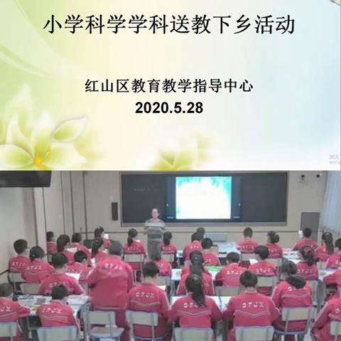 [指导中心•送教下乡]杨国峰名师工作坊课题研究课暨红山区小学科学六年级送教下乡活动