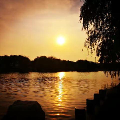 碧云蓝天 绿草如茵 惊艳余晖 落幕唯美