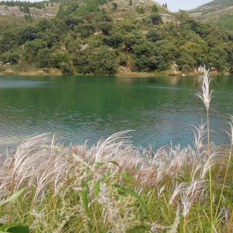 秋花，秋果，秋韵，赏果桂飘香；秋阳，秋山，秋水，共长天一色！