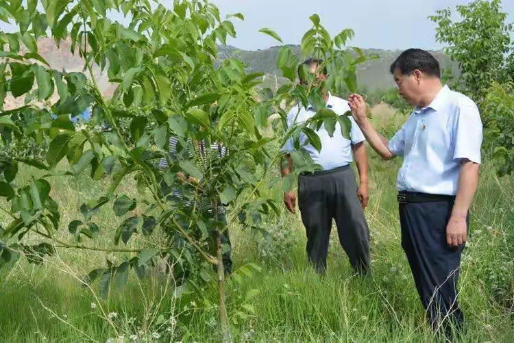 张家口市自然资源和规划局党组书记白凤鸣到我区督导检查矿山修复治理