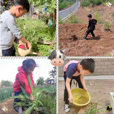 劳动，为成长洒下阳光——记维明路小学三年级春耕春植劳动活动