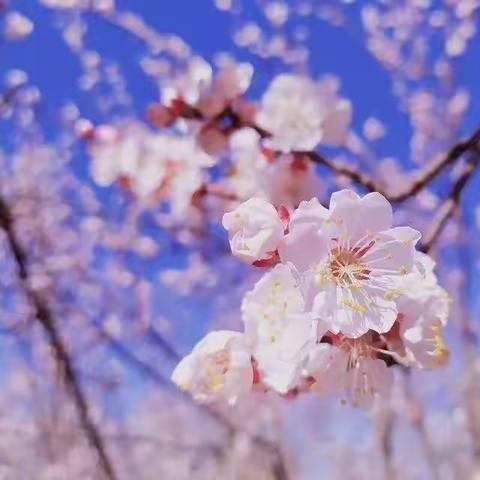 停课不停学，“疫”路相伴，与生同行。