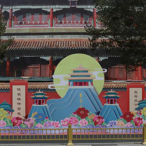 花艳京城（二）——景山公园牡丹花