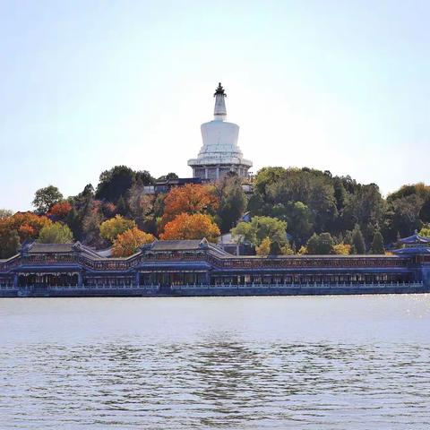 北海公园秋菊秋景美篇