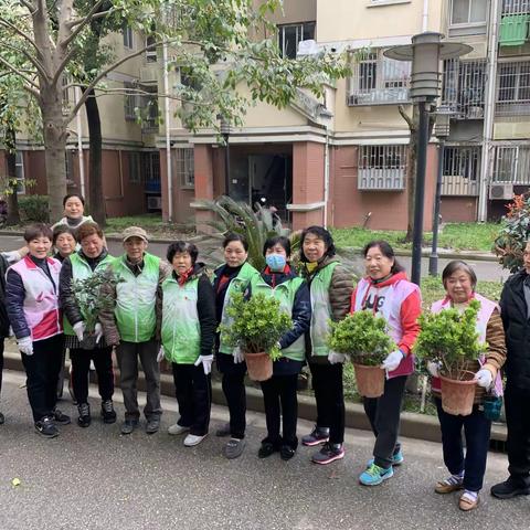 “春回大地万物苏，植树添绿正当时-3.12植树节志愿服务活动