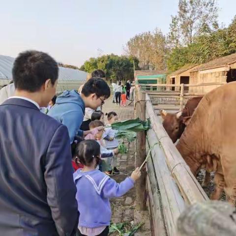 丹阳市实验幼儿园(白云部）小一班第三次线上读书活动——《好父母都会允许孩子慢慢来》