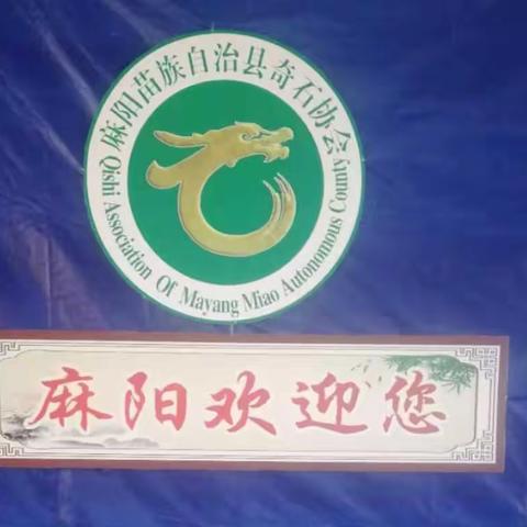 2018麻阳首届奇石展