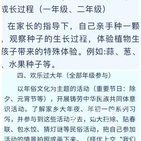 勤劳勇敢，虎虎生威—纳日松小学二年级一班寒假实践活动