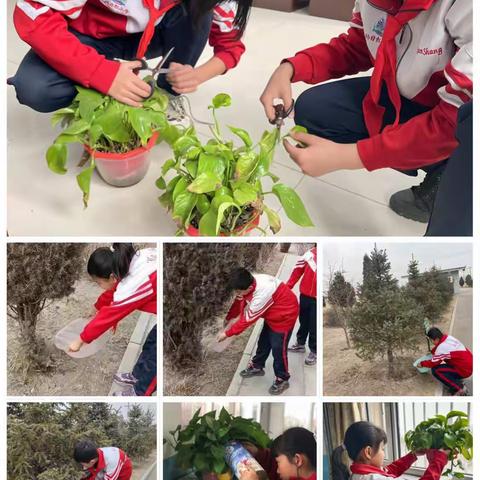 爱在春风里，欢度植树节—纳日松小学3.12植树活动