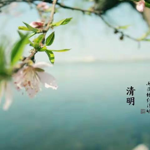 商南县试马镇中心幼儿园2023年清明节线上家长会     小班组