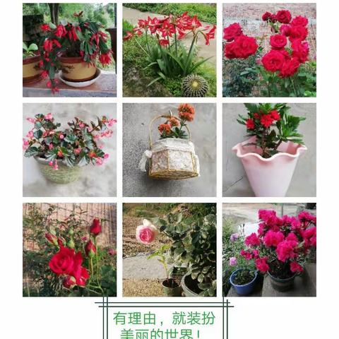 最美十年好光阴——纪念退休十周年