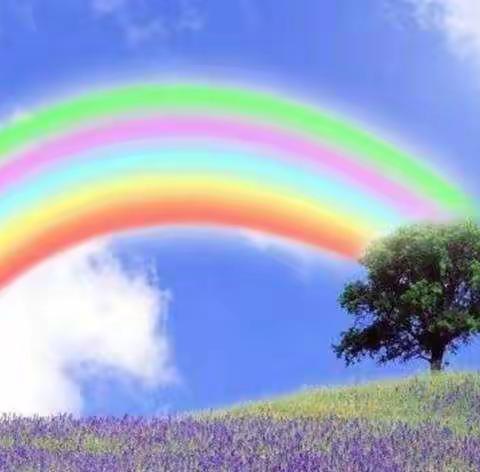 【汤坊镇幼儿园】科学小实验《彩虹糖的小彩虹》