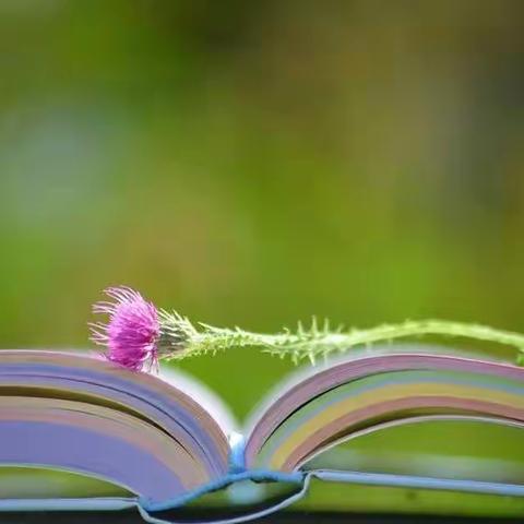 云端授课重实效 线上教学稳推进