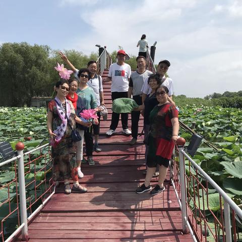 仙子湖畔盛夏情