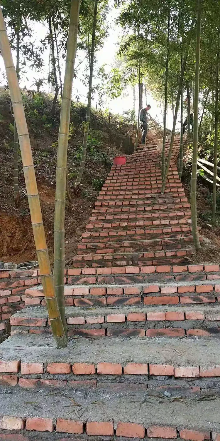 麻溪古镇生态园建设