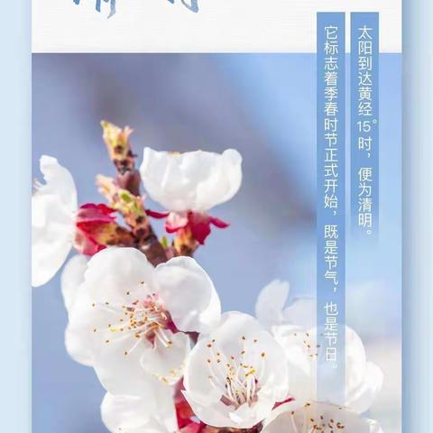 【三比一争“进行时”】“缅怀先烈 致敬英雄”——记芙蓉中心小学清明节主题教育活动