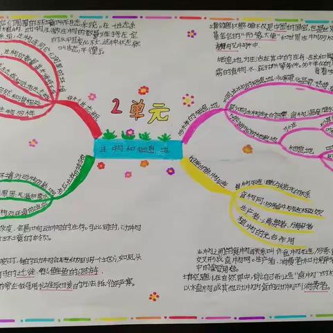 绘科学思维导图 知科学重点知识——杏园逸夫小学六(3)班科学第二单元优秀思维导图展示