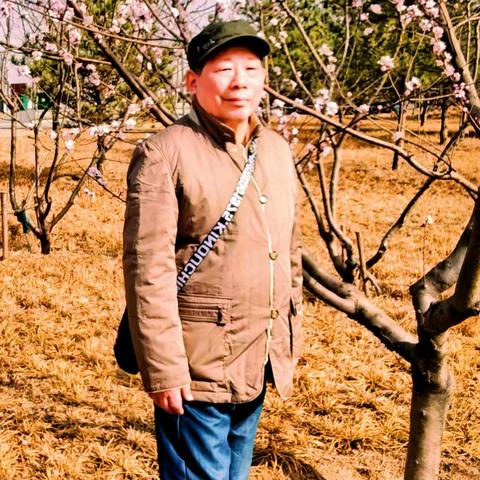 一抹绿色  岁月生香