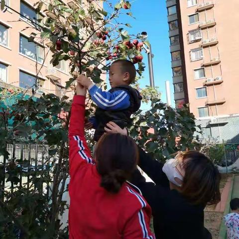 丰富多彩的幼儿园生活（二）