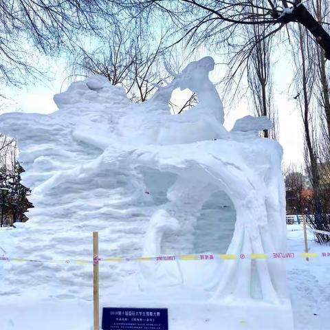 2018第十届国际大学生雪雕大赛部分作品
