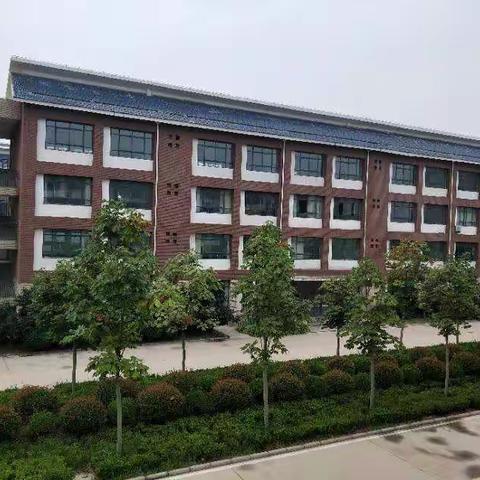 高一二部48班军训第三天