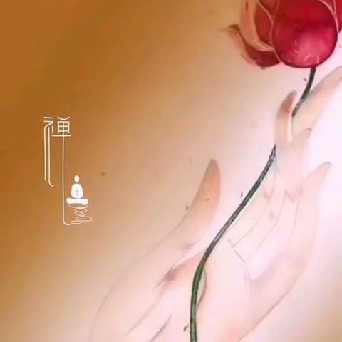 碧海蓝天视频号集（2）