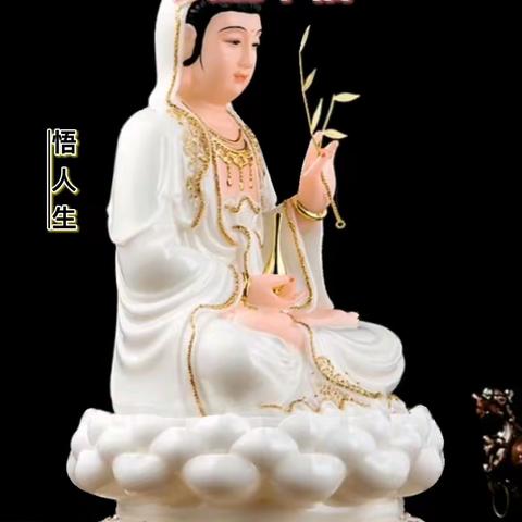 碧海蓝天视频号集（3）