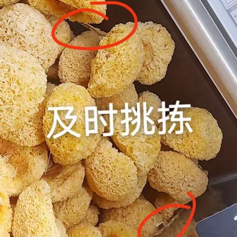 干副休闲食品课4月4日巡场问题及整改图片