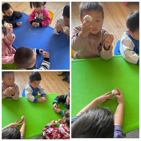 『班本课程』“蒜”你可爱——中三班大蒜种植记