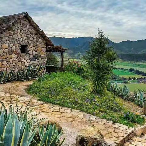 《生命~生存~生活》