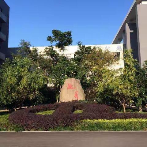 “醉“美校园——宁波市新城第一实验学校校园美景