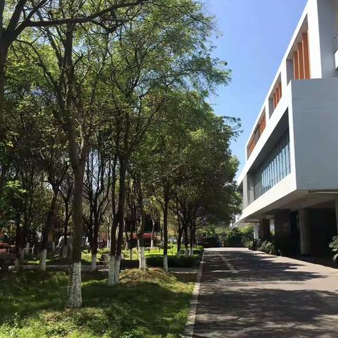 优雅地工作，诗意地栖居。———宁波市新城第一实验学校“文明办公室评选”剪影！