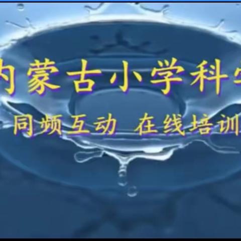 同频互动共成长——赤峰市巴林左旗小学科学教师参加“同频互动”网络教研活动