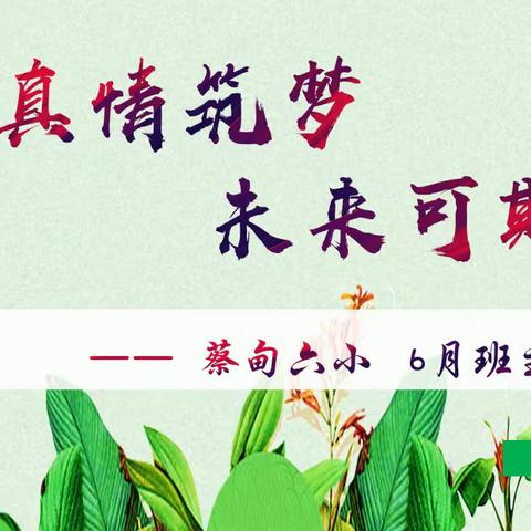 “真情筑梦 未来可期” —蔡甸六小6月班主任总结会