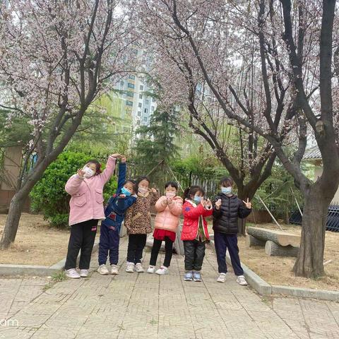 鱼台第二实验小学附属幼儿园  雨后的春天