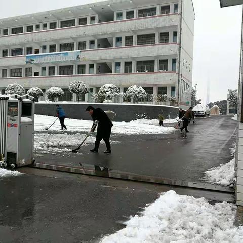 大雪满校园，党员破冰除雪暖人心