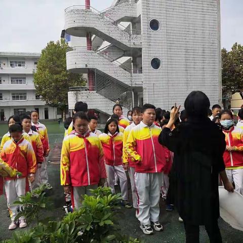 【播种希望，收获快乐】——记城关一小六（5）班种植活动