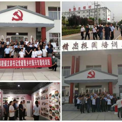 践行初心促党建  学习交流谋发展