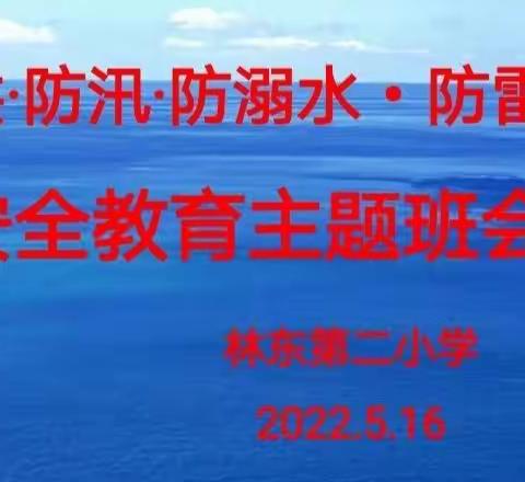 林东第二小学防洪防汛防溺水防雷电安全教育主题班会