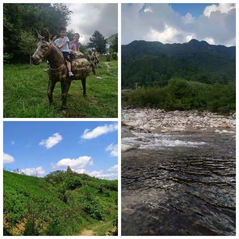 我的暑假生活    洋县天力小学，三升四，杨语奇