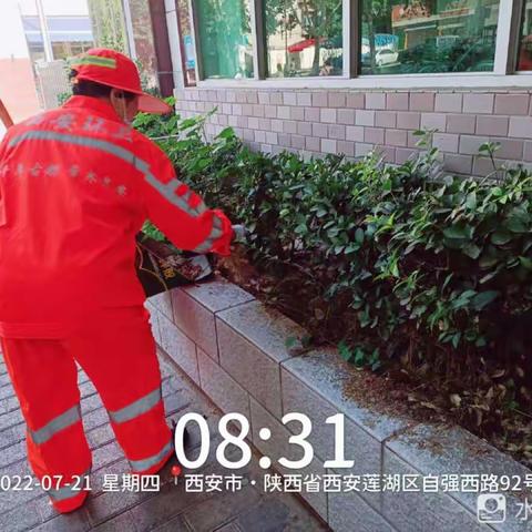 【莲湖 红庙坡】路边的绿化带之美---自强西路专项整治（六）