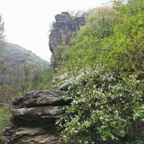 岸青峡谷蓄幽碧，千峰万壑画中游——青州岸青大峡谷-仰天山环穿